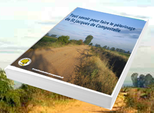 Livre 'tout savoir pour faire Comlpostelle'